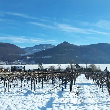 Penzion Weingut Weidlhof - & Breakfast - Vacation For Wine Lovers