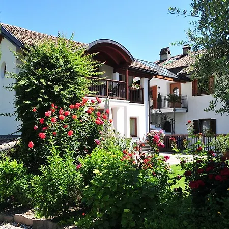 Affittacamere Weingut Weidlhof - & Breakfast - Vacation For Wine Lovers