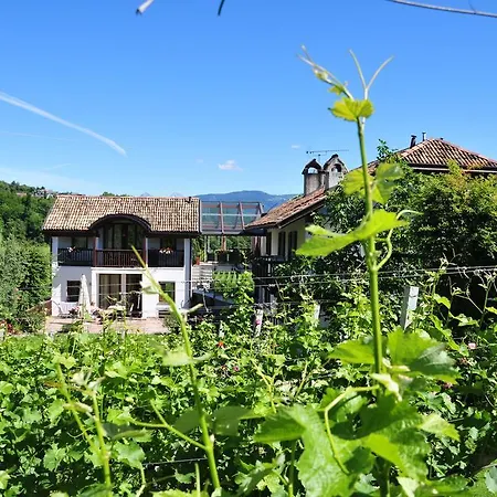 Weingut Weidlhof - & Breakfast - Vacation For Wine Lovers Affittacamere Caldaro