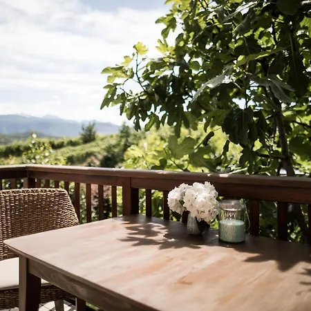 Weingut Weidlhof - & Breakfast - Vacation For Wine Lovers Penzion